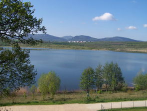 Wohnen am Olbersdorfer See
